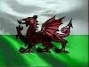 News from Bangor City FC